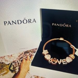 Pandora Bracelet & Pandora Charm